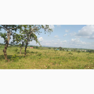 Affordable Residential Land At Gwagwalada