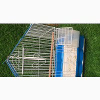 Fancy Blue Cages