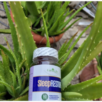 Sleep Restore - Natural Asian Herbs for Better Sleep