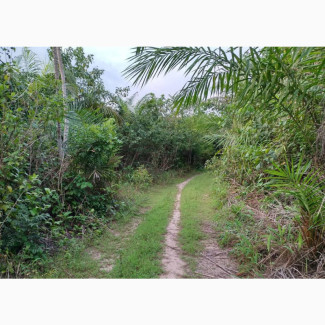 The Most Affordable Lands for Sale at Ibeju Lekki(Elerangbe)