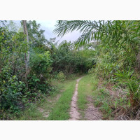 The Most Affordable Lands for Sale at Ibeju Lekki(Elerangbe)