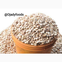 Honey Oloyin Beans - Perfect for Delicious Meals