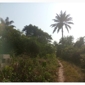 Plot for Sale at Baale Around Ido Garage