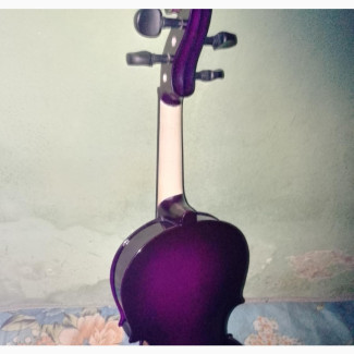 Violin Instrument
