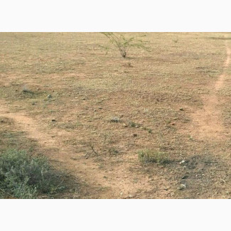 30000 SQM at Mozelli Island, Off Freedom Way, Lekki Phase 1