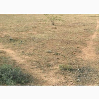 30000 SQM at Mozelli Island, Off Freedom Way, Lekki Phase 1