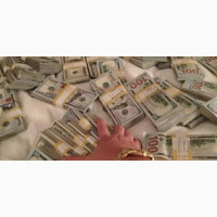 Join illuminati 666 occult today for wealth