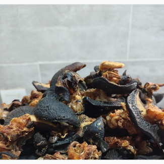 Freshly Grilled and Processed Snails for Export