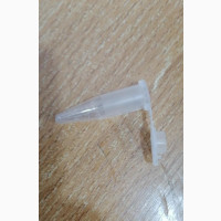 Eppendorf Tube 1.5ml
