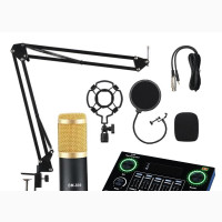 Complete Set: Condenser Microphone + V9 Sound Card