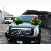 Royal Bliss Funeral Services - Ambulance Services