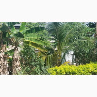 4bdrm Bungalow in Aba Nla Estate, Ido for sale