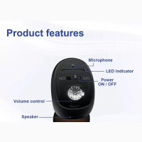 Hearing Aid With Hook