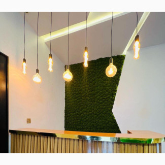Artificial Moss Wall Installation