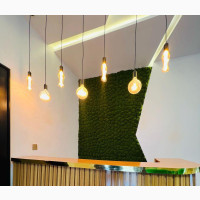 Artificial Moss Wall Installation