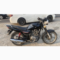 Denstar Escape 2022 Black