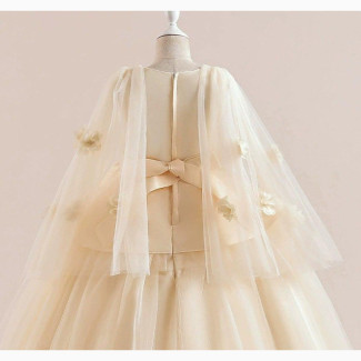 Clara Beautiful Gown