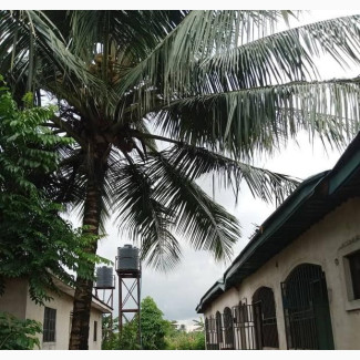 5bdrm Apartment in Faith Estate, Ikwerre for sale