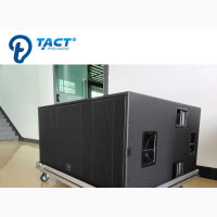 Professional Dual Subwoofer