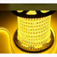VIP Rope Light