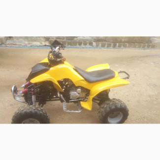 Suzuki Sport 2008 Yellow