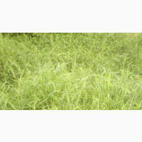 225sqm Residential Land for Sale in Developed Kano Region