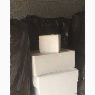 Polystyrene/Styrofoam Cooler Boxes