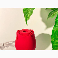 Rechargeable Rose Vibrator Vagina Clitoris Sucker Pink