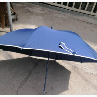 Big Blue Umbrella