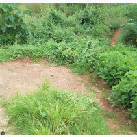 12 Plots of Land at Ugwogo Nike