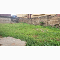 Half Plot of Land at D BCK of Glo Challenge
