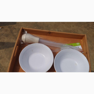 Transfer Activity Tray Set