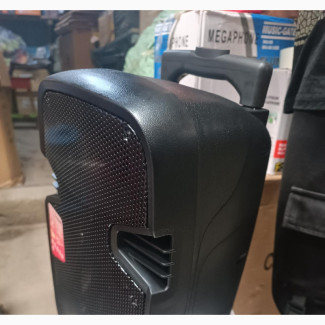 8 Rechargeable Public Address System