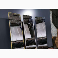 Luxurious Standing Mirror