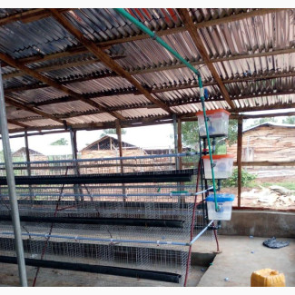 Poultry Cage