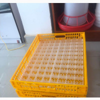 Hatching Basket