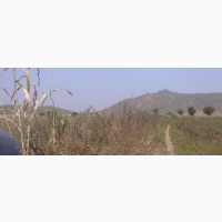 8 Hectares Plot of Land for Sale