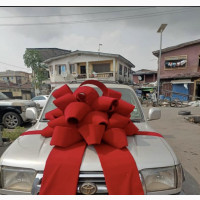 Surprise Car Bow