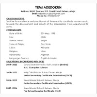 Yemi Adedokun CV