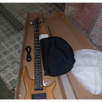 Epiphone Active 5strings