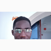 Wordpress Web-Developer