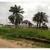 1 Plot of Land for Sale in Port Harcourt - Buy and Build