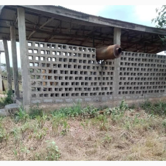 What an Opportunity Quarry on 50 Acres With License