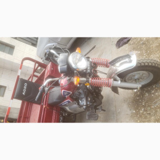 New Qlink Achilles 150 2022