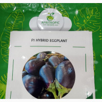 Purple Queen Eggplant - High Quality Seeds for Sale