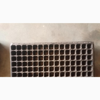 Seed Trays, 105, 200, 128 Ceels