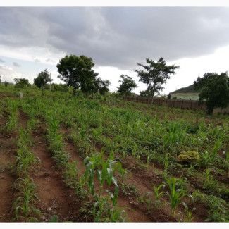 Residential Land with Government Allocation Paper and Survey Plan