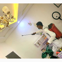 Professional Fumigation Service by Crowncube Fumigation Services