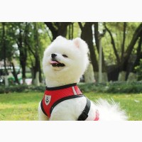 No Pull Comfort Padded Vest Harnesses for Small Pets