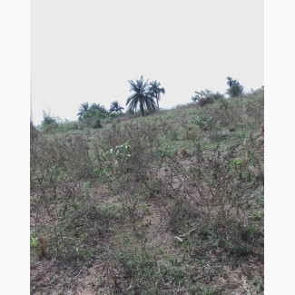 300 Acres of Land for Sale in a Very Good Location